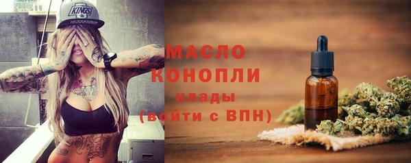 шишки Бородино