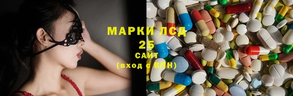 шишки Бородино