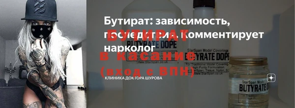 шишки Бородино