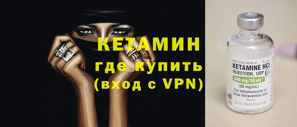 шишки Бородино
