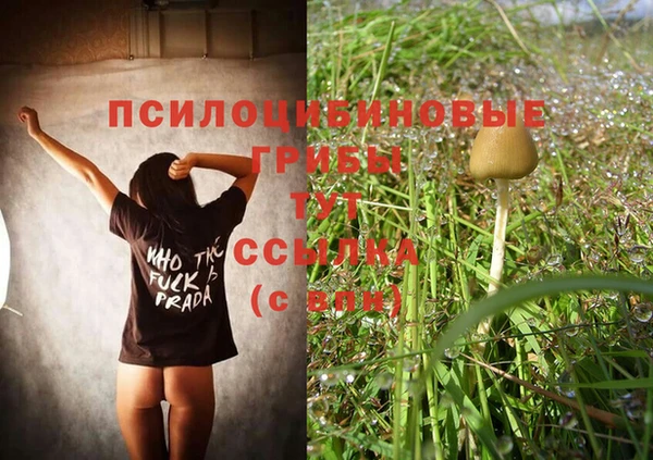 винт Бронницы
