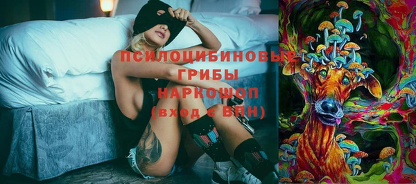 винт Бронницы