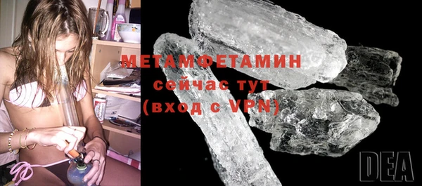 шишки Бородино