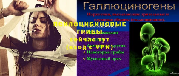 шишки Бородино