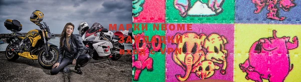 шишки Бородино