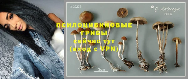 шишки Бородино