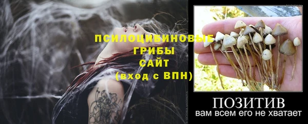 jwh Бугульма